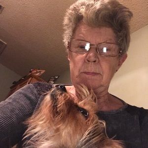 Meet your Posher, Dolly